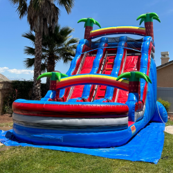 18 1716893380 20ft Dual Lane Tropical Waterslide