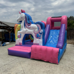 IMG 2437 1721023695 Rainbow Unicorn Slide