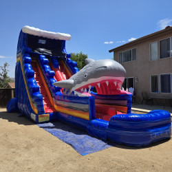 Shark Attack Waterslide