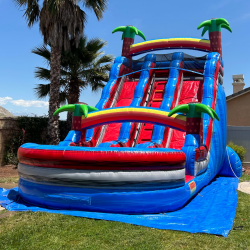 18 1716893380 2 20ft Dual Lane Tropical Water Slide