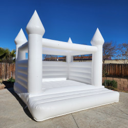 20240112 130416 1705134803 1 White Castle