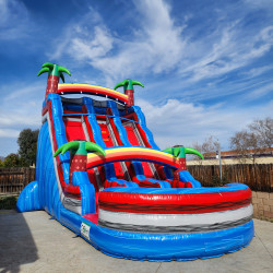 20ft Dual Lane Tropical Water Slide 20240119 134018 1706699946 2 20ft Dual Lane Tropical Water Slide