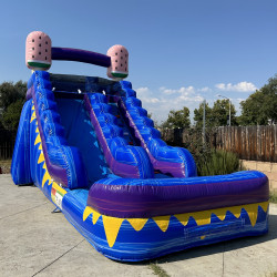 14ft Popsicle Waterslide