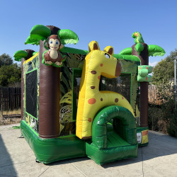 IMG 2377 1721024882 2 Safari Adventure