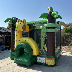 IMG 2378 1721024882 2 Safari Adventure