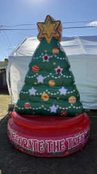 Decorate The Tree IMG 7113 1764801715 Decorate The Tree