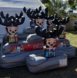 IMG 7122 1764802828 Reindeer Ring Toss